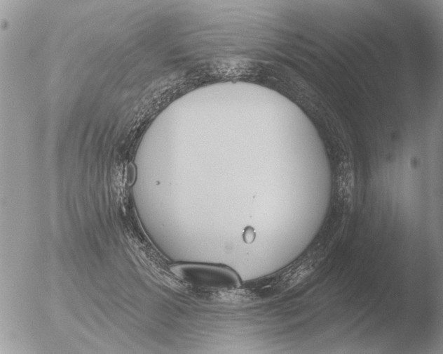 X0000051920605200507152059