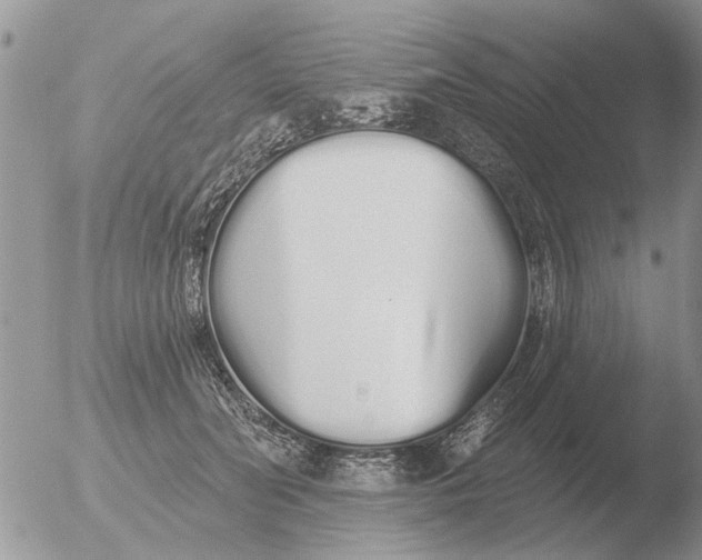 X0000051920606200507152059