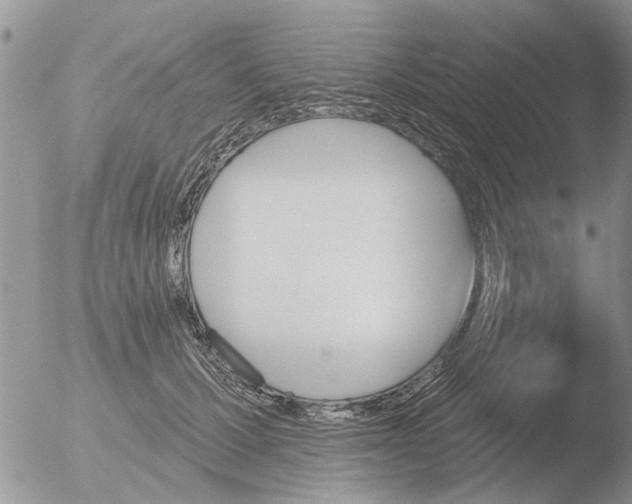 X0000051920607200507152059