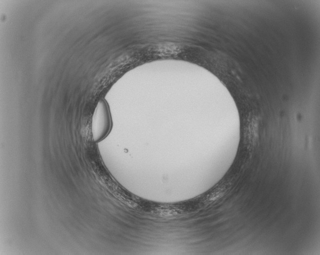 X0000051920608200507152058