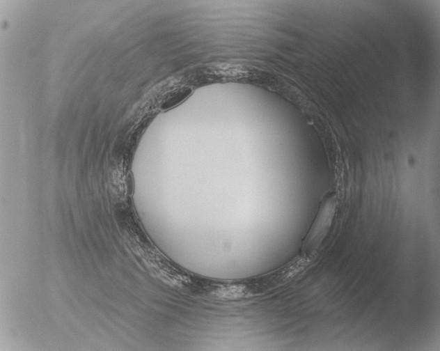 X0000051920609200507152058