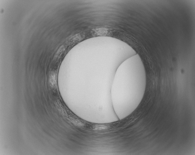 X0000051920610200507152058