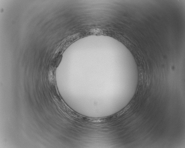 X0000051920611200507152058