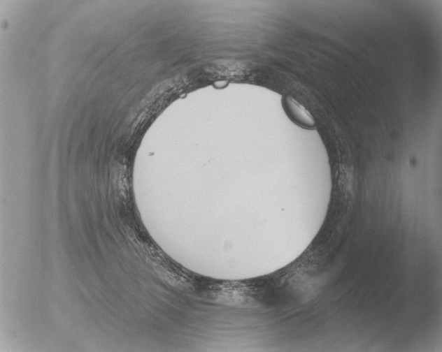 X0000051920612200507152058