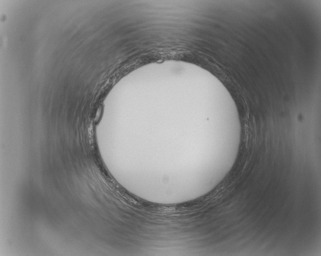 X0000051920613200507152058