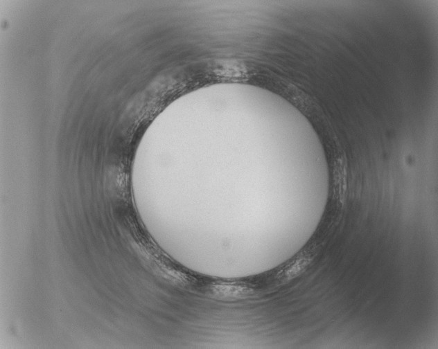 X0000051920614200507152058