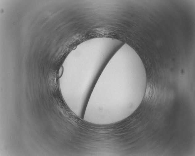 X0000051920615200507152058