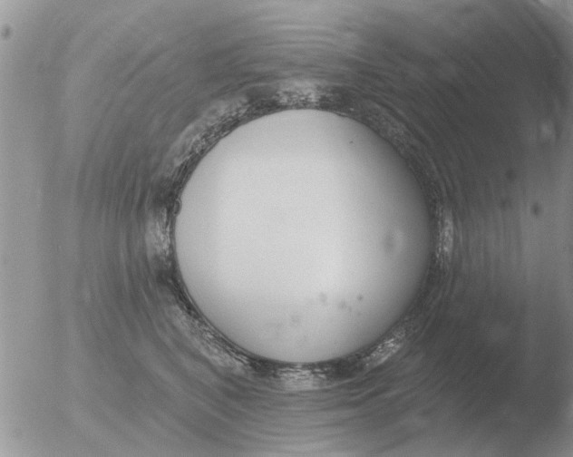 X0000051920616200507152058