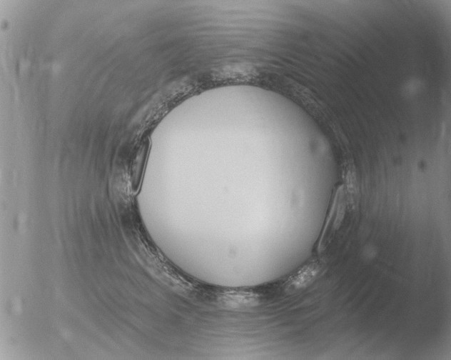 X0000051920617200507152058