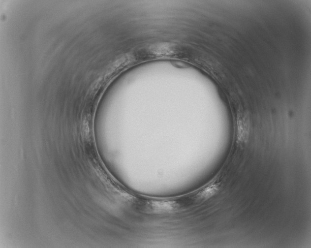 X0000051920618200507152058