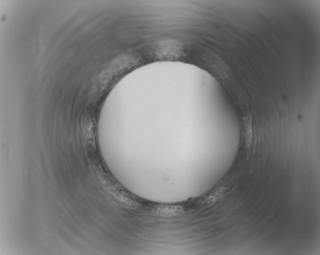 X0000051920619200507152058