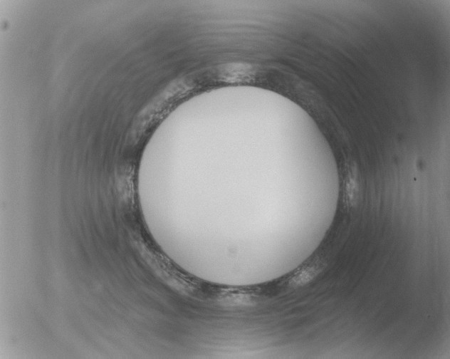 X0000051920620200507152058