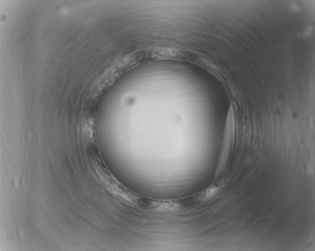 X0000051920621200507152058