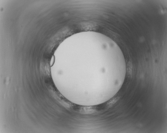 X0000051920622200507152058