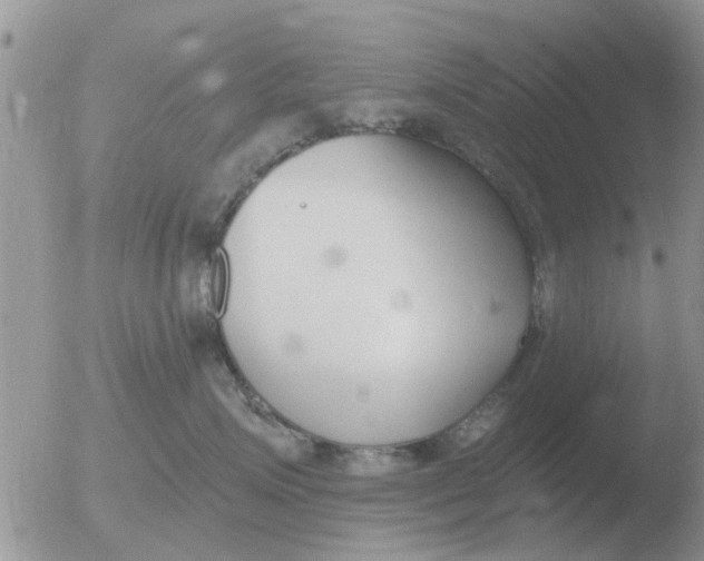 X0000051920623200507152058