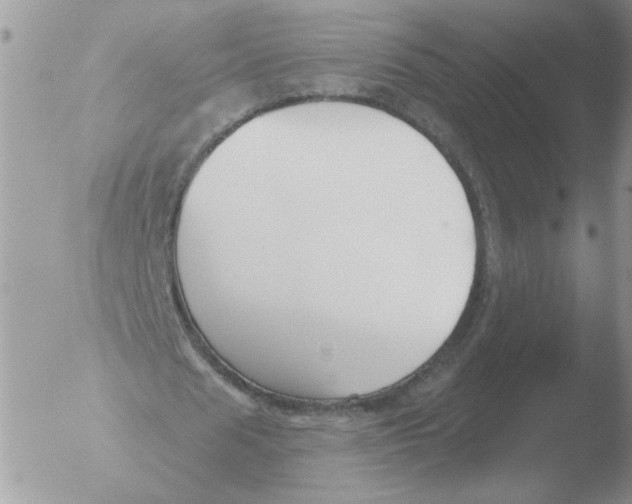 X0000051920625200507152057