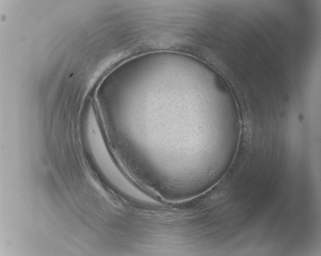 X0000051920626200507152057