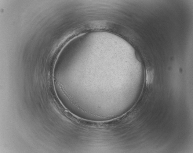 X0000051920627200507152057