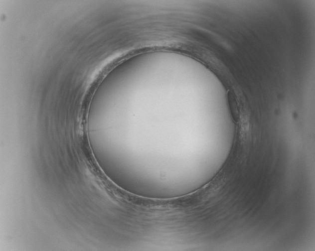 X0000051920628200507152057