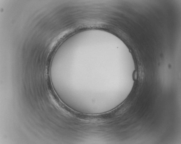 X0000051920629200507152057