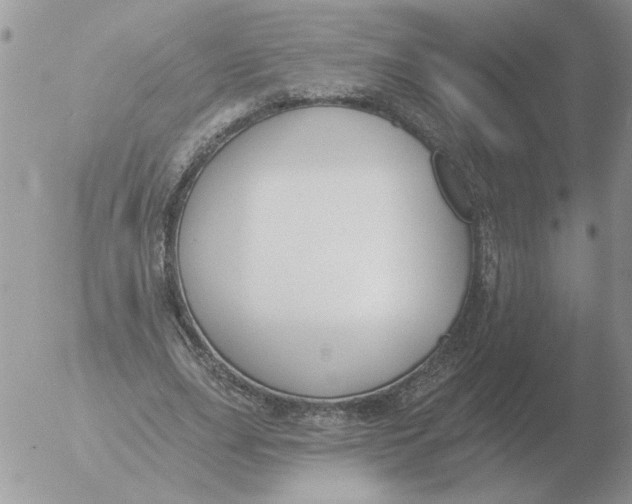 X0000051920631200507152058