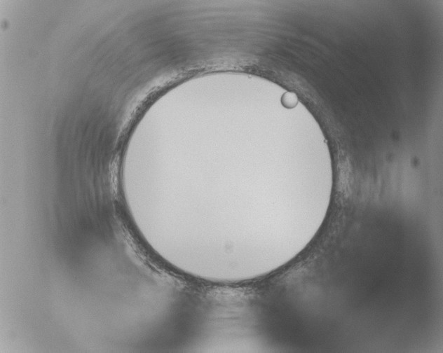 X0000051920632200507152058