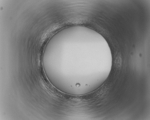 X0000051920635200507152058