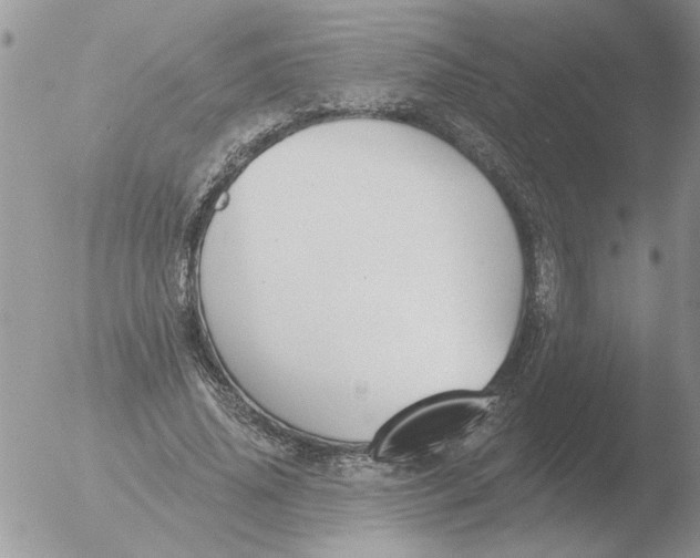 X0000051920636200507152058