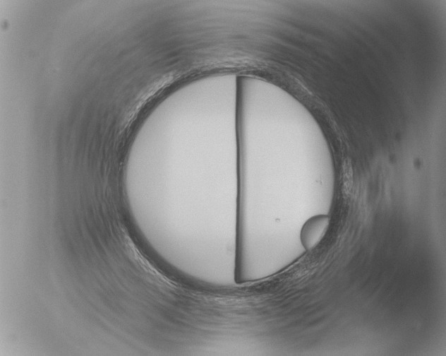 X0000051920637200507152058