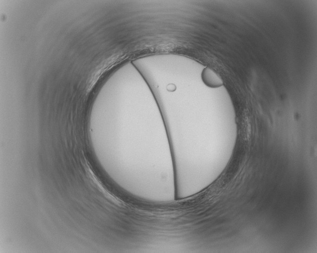 X0000051920638200507152058