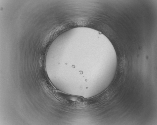 X0000051920639200507152058