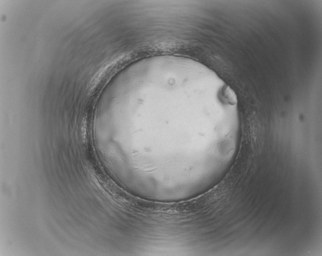 X0000051920640200507152058