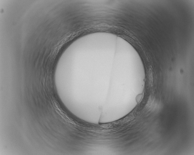 X0000051920641200507152058