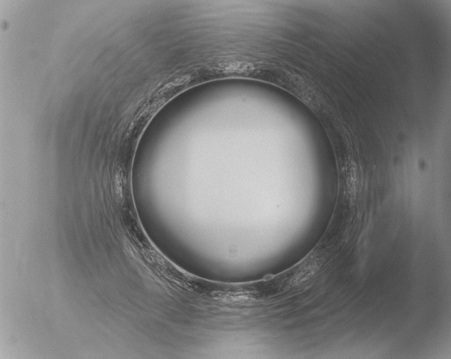 X0000051920643200507152058