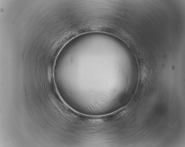 X0000051920644200507152058