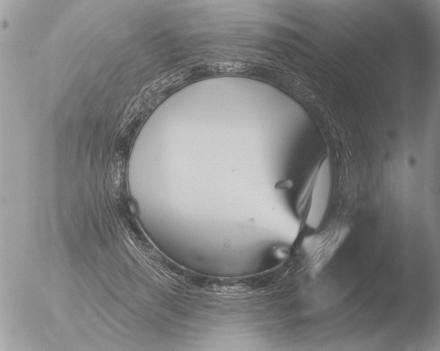 X0000051920645200507152058