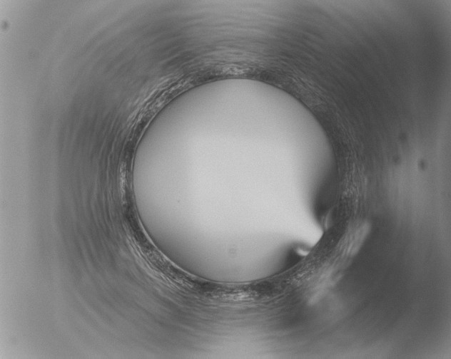 X0000051920646200507152058