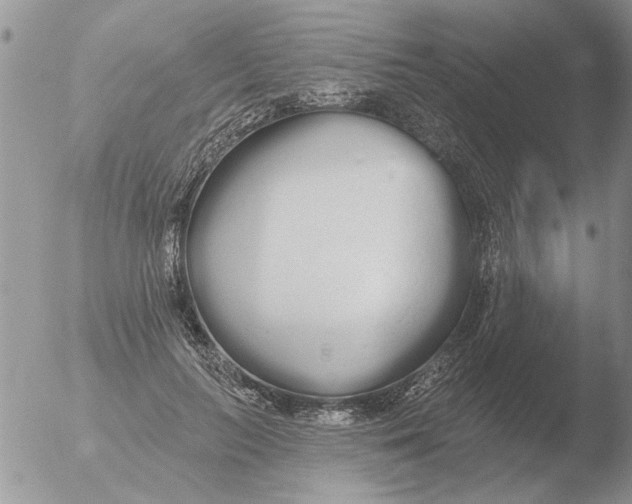 X0000051920647200507152058