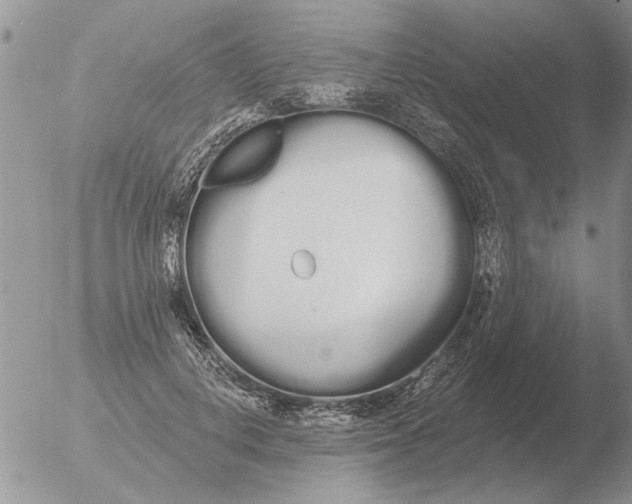 X0000051920648200507152058