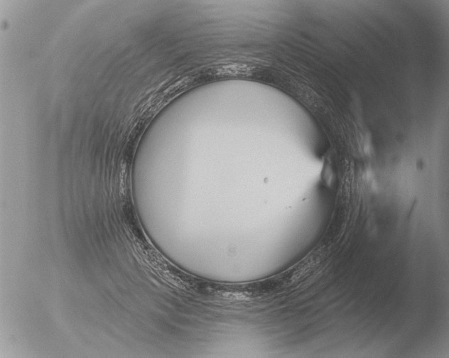 X0000051920649200507152058