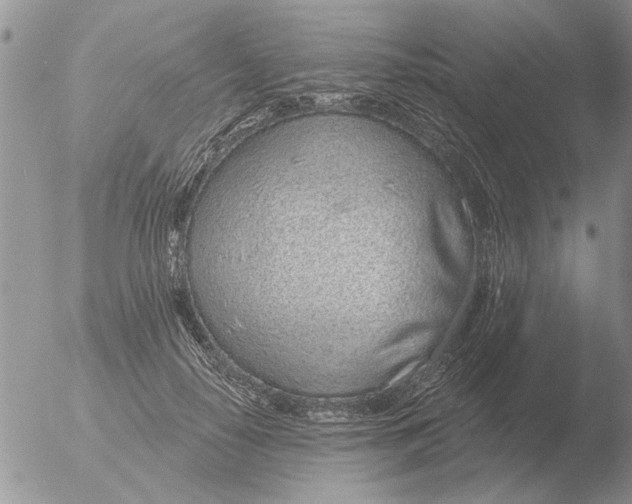 X0000051920650200507152058