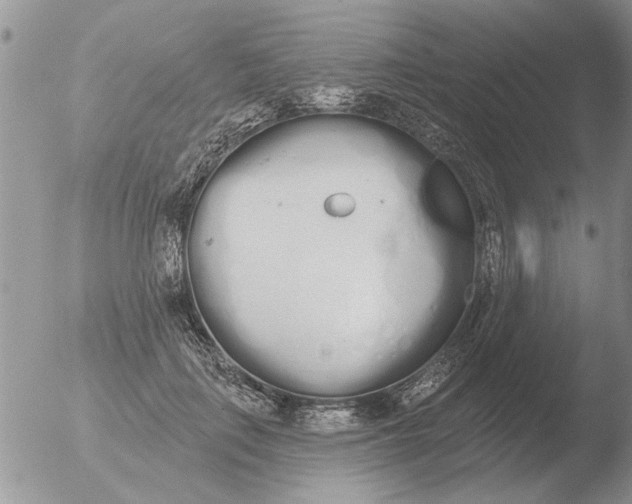 X0000051920651200507152058