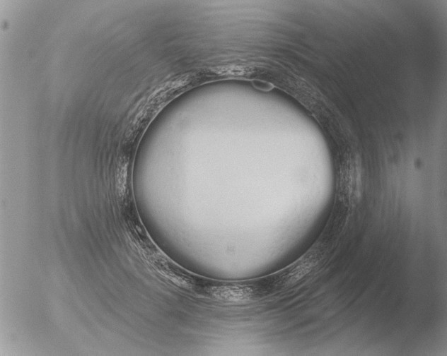 X0000051920652200507152058