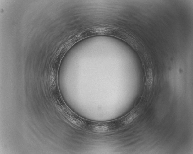 X0000051920653200507152058