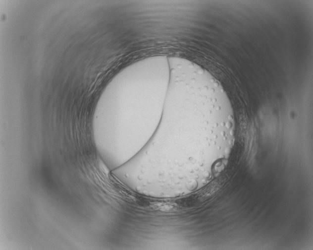 X0000051920654200507152058