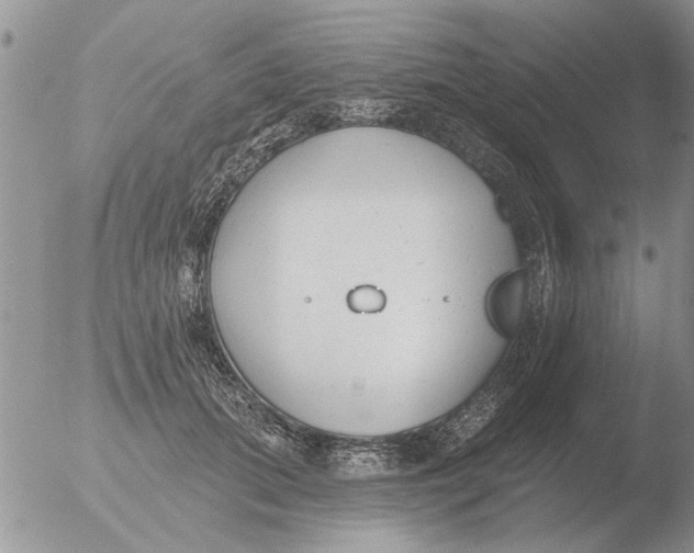 X0000051920655200507152058