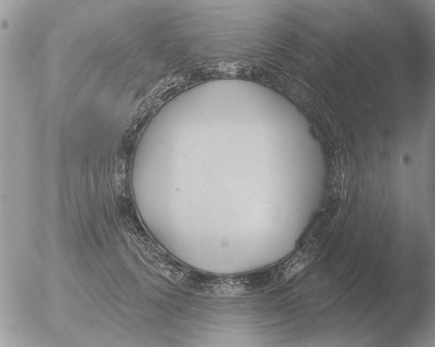 X0000051920656200507152058