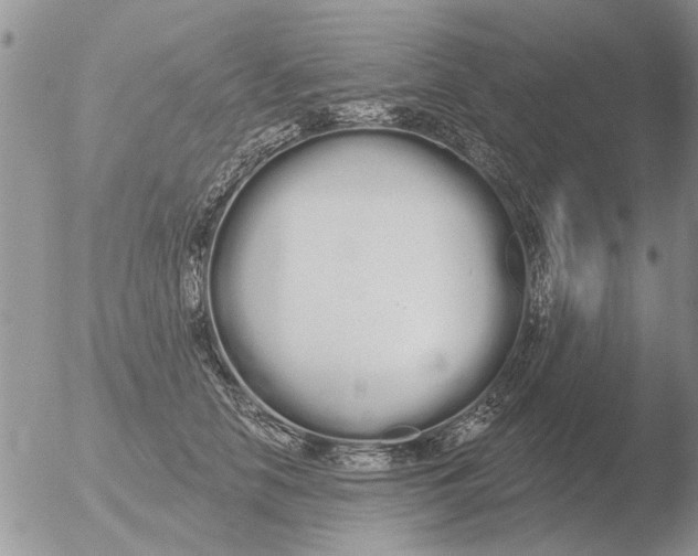 X0000051920658200507152058