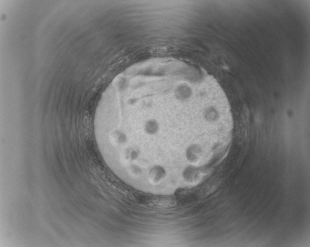 X0000051920659200507152058