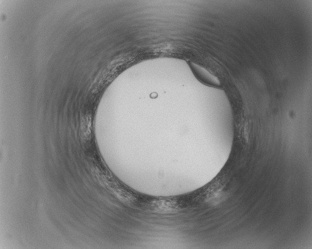 X0000051920660200507152058